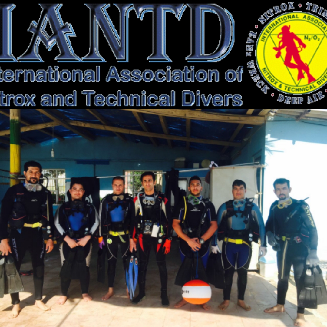 iantd courses2 iantd courses2